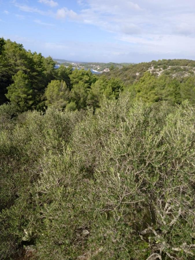 Svema Apartman Vela Luka Eksteriør billede